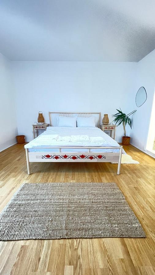 Апартаменты Biolocalia House Dobrogea Балотешти Экстерьер фото