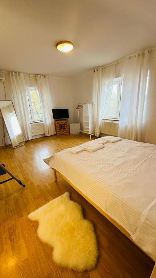 Апартаменты Biolocalia House Dobrogea Балотешти Экстерьер фото